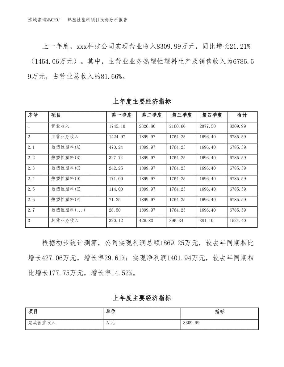 （模板）热塑性塑料项目投资分析报告_第5页