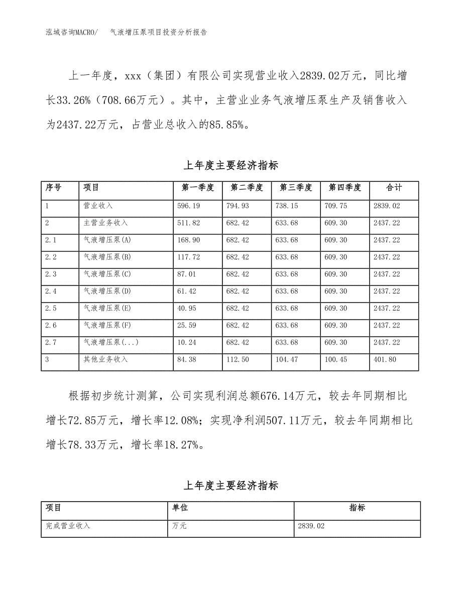 （模板）气液增压泵项目投资分析报告_第5页