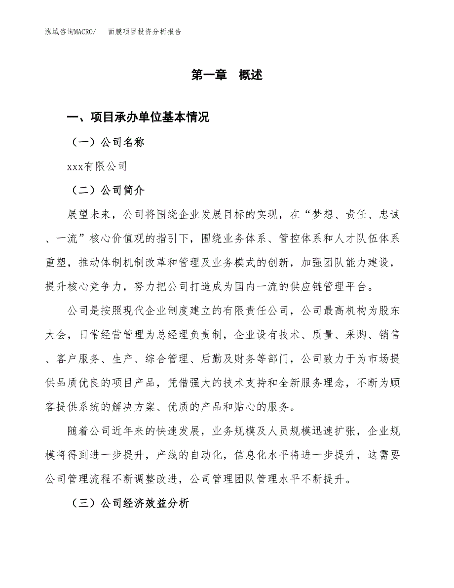 （模板）面膜项目投资分析报告 (1)_第4页