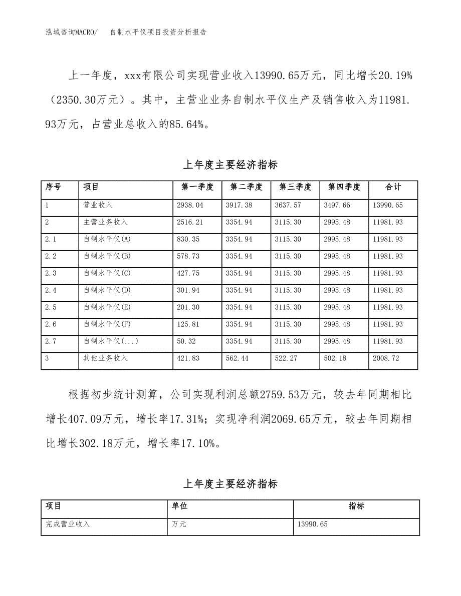 （模板）自制水平仪项目投资分析报告_第5页