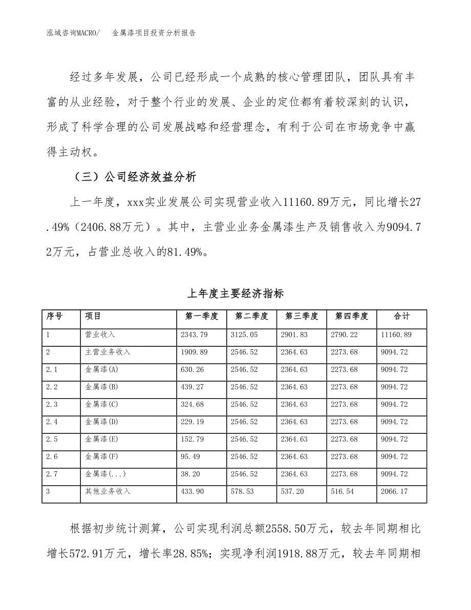 （模板）金属漆项目投资分析报告_第5页