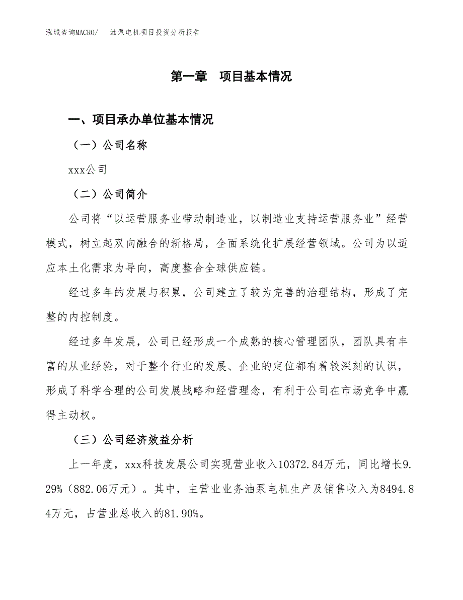 （模板）油泵电机项目投资分析报告_第4页