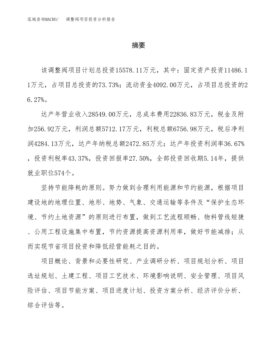 （模板）调整阀项目投资分析报告_第2页