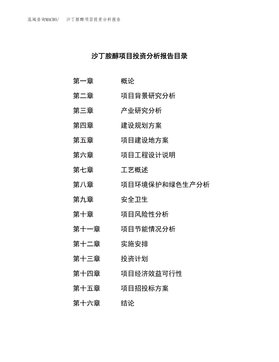 （模板）沙丁胺醇项目投资分析报告_第3页