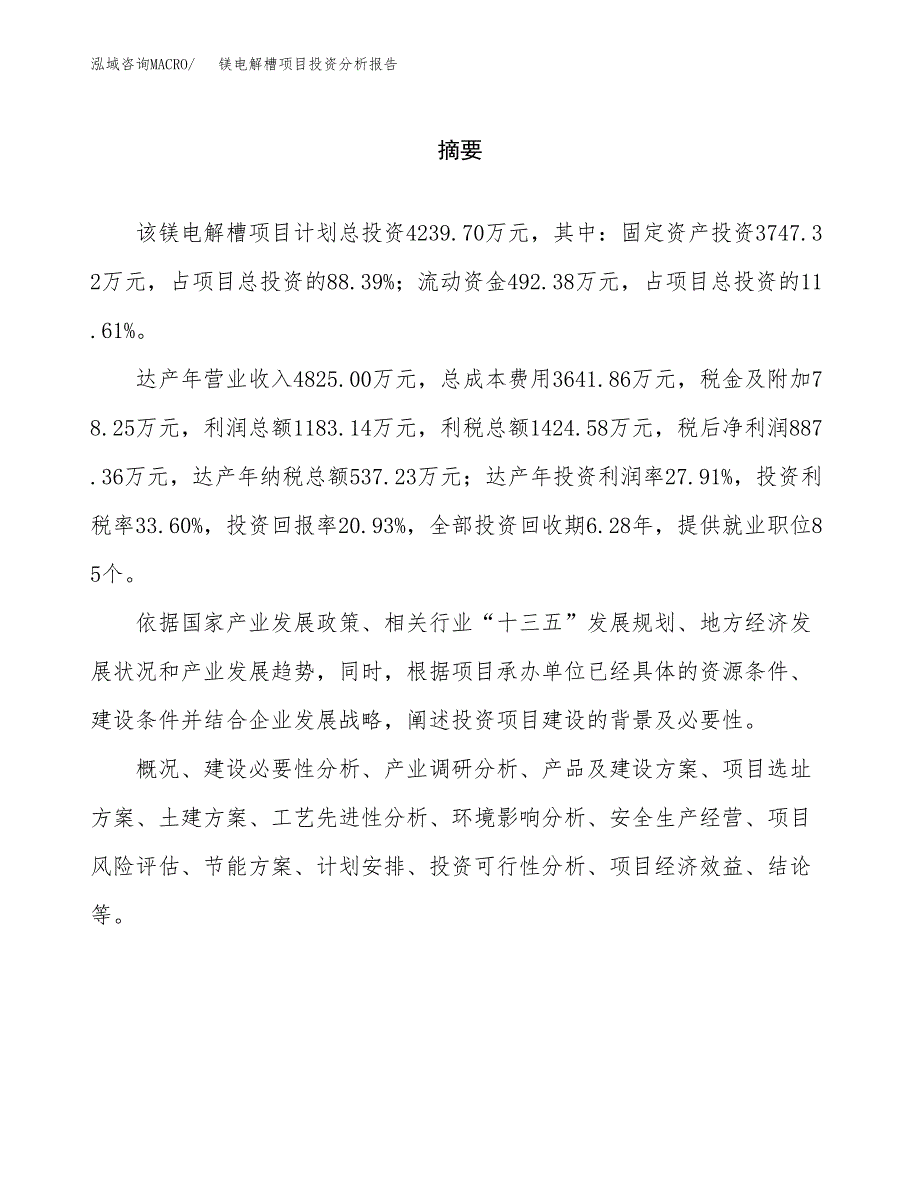 （模板）镁电解槽项目投资分析报告_第2页