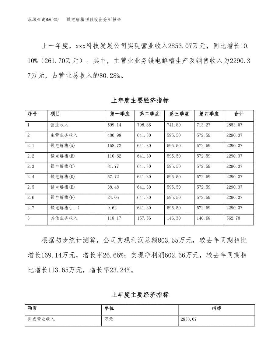 （模板）镁电解槽项目投资分析报告_第5页