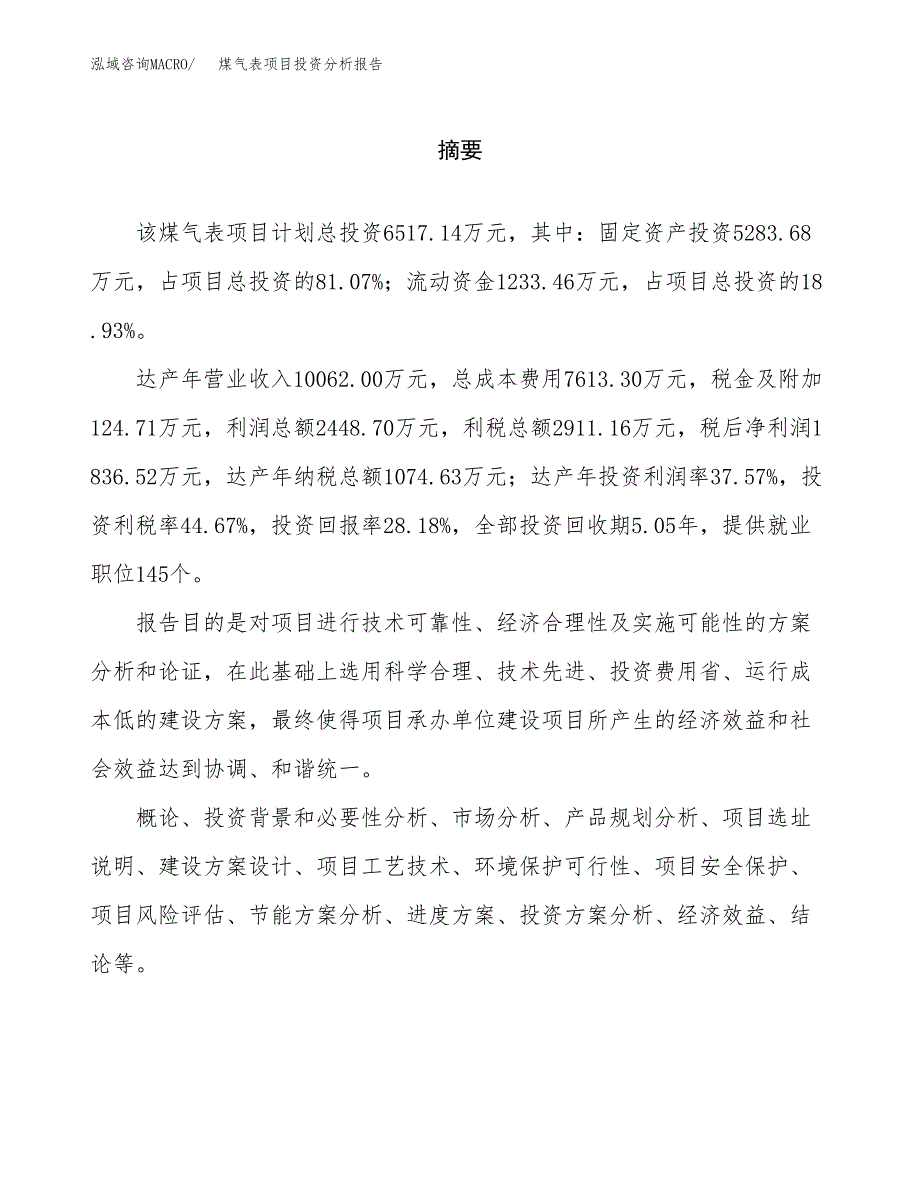 （模板）煤气表项目投资分析报告_第2页