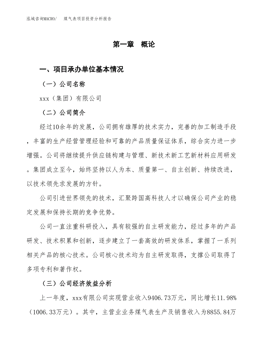 （模板）煤气表项目投资分析报告_第4页