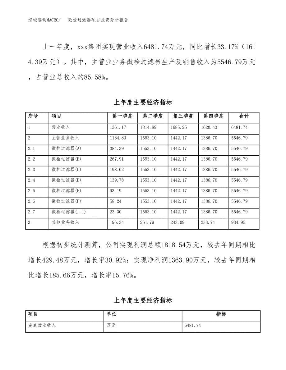 （模板）微栓过滤器项目投资分析报告_第5页