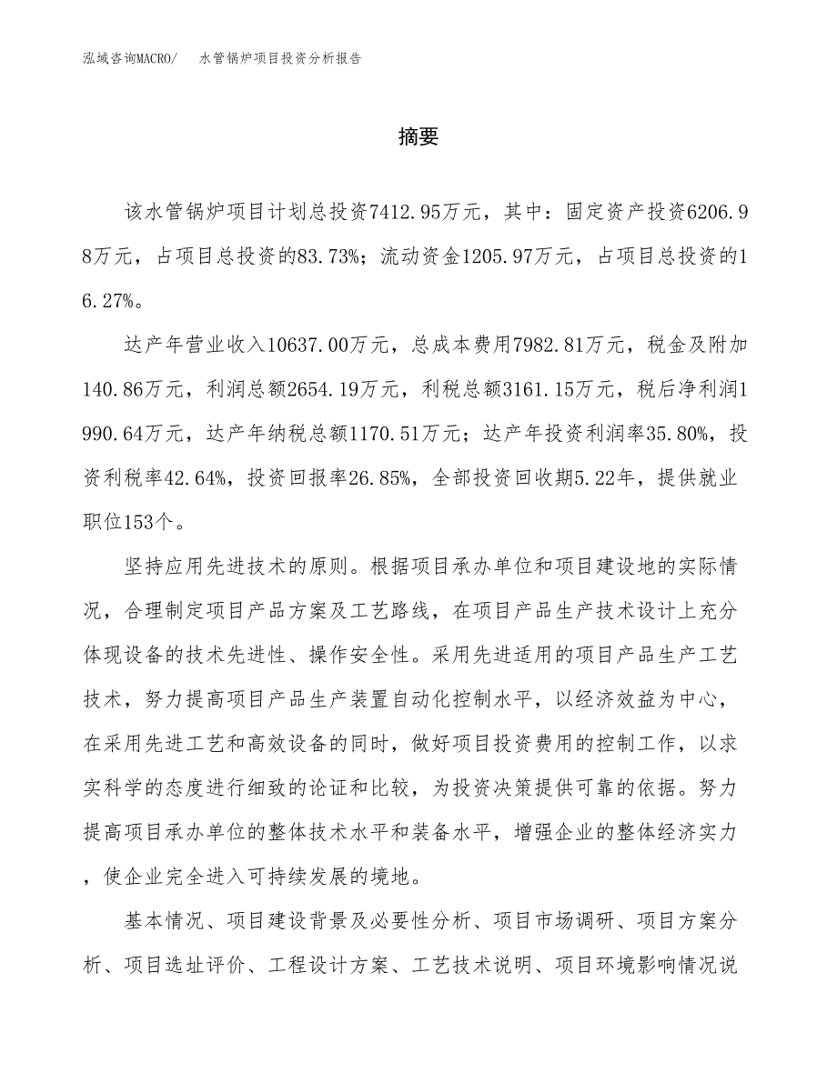 （模板）水管锅炉项目投资分析报告_第2页