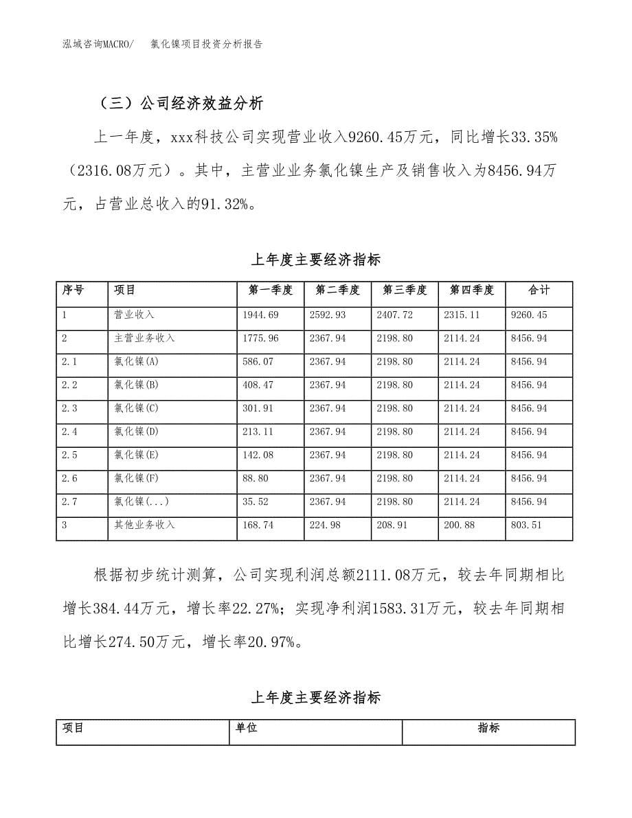 （模板）氯化镍项目投资分析报告_第5页