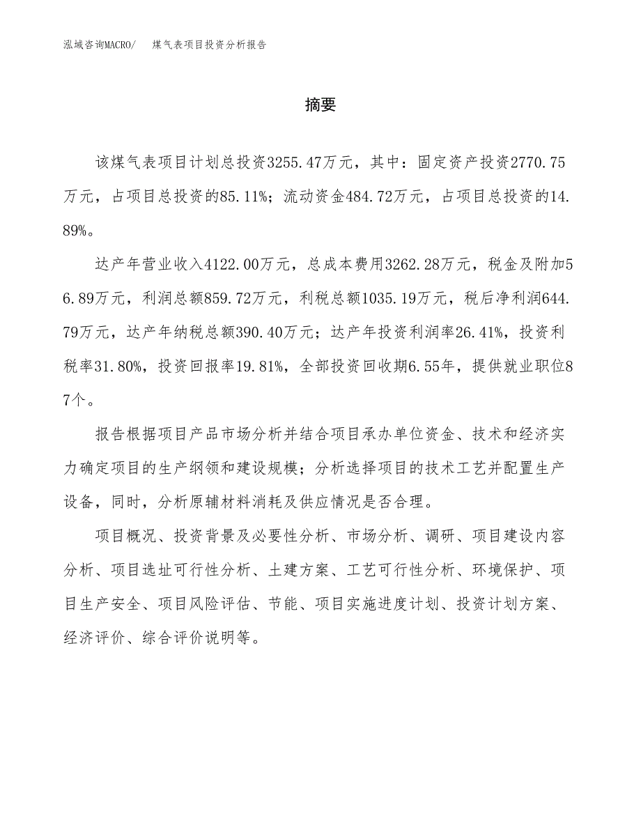 （模板）煤气表项目投资分析报告 (1)_第2页