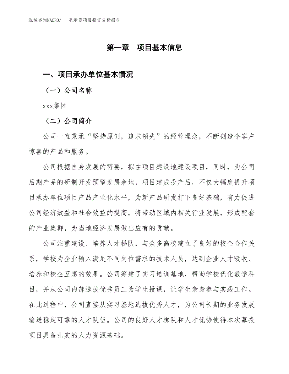 （模板）显示器项目投资分析报告 (1)_第4页