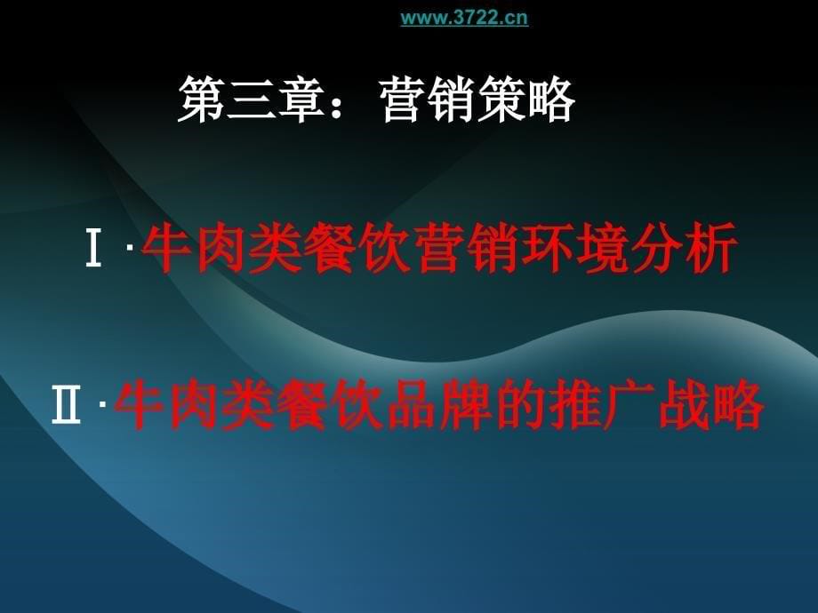 真x餐饮连锁公司商业创业计划书(ppt 22页)_第5页