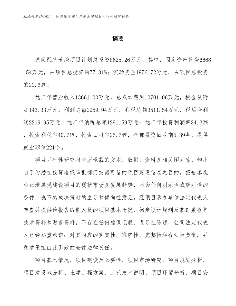 （模板）间羟基苄胺生产基地建项目可行性研究报告_第2页