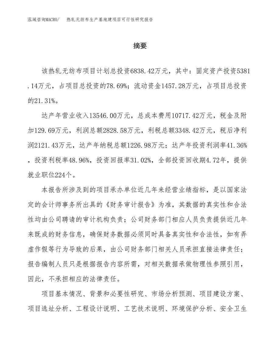 （模板）热轧无纺布生产基地建项目可行性研究报告_第2页