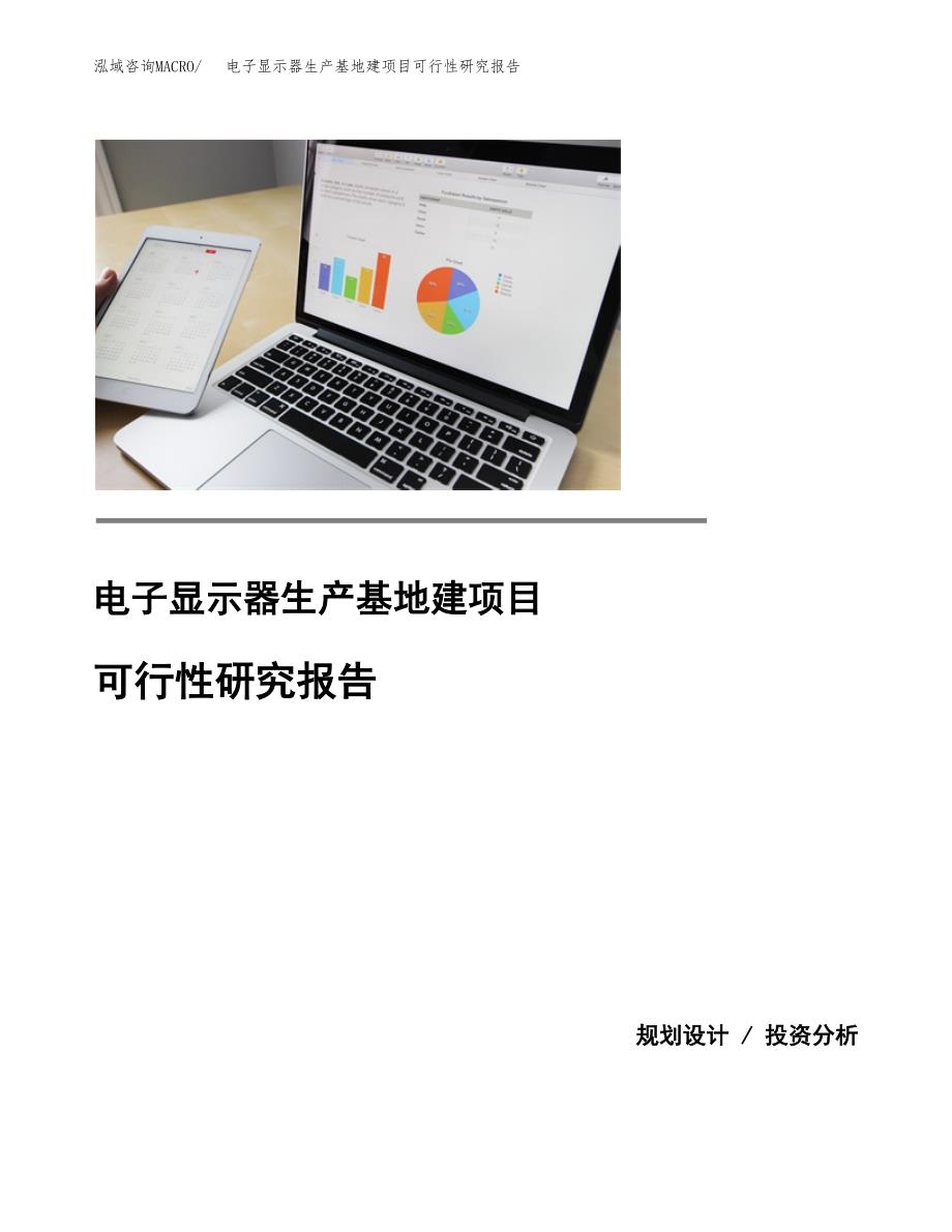 （模板）电子显示器生产基地建项目可行性研究报告_第1页