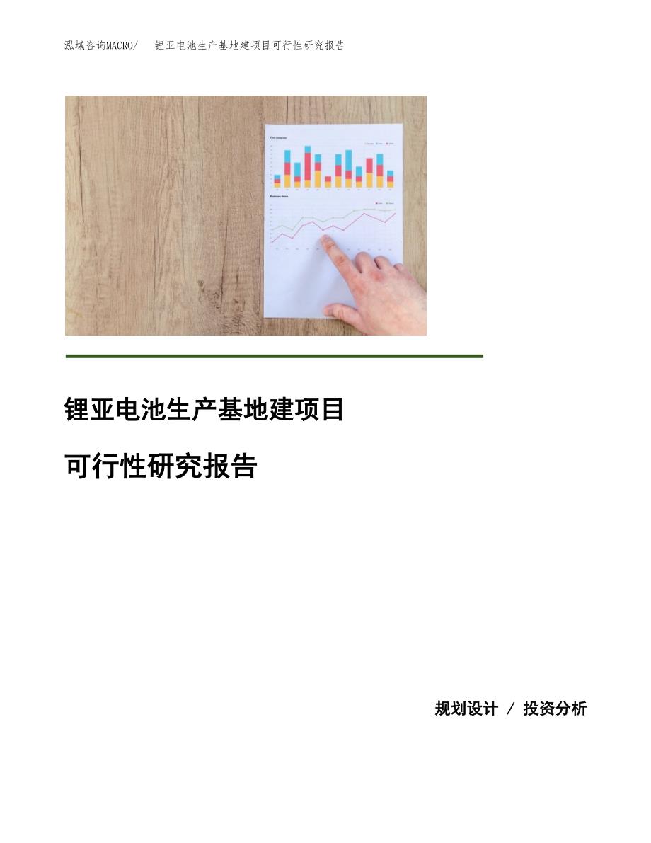 （模板）锂亚电池生产基地建项目可行性研究报告_第1页