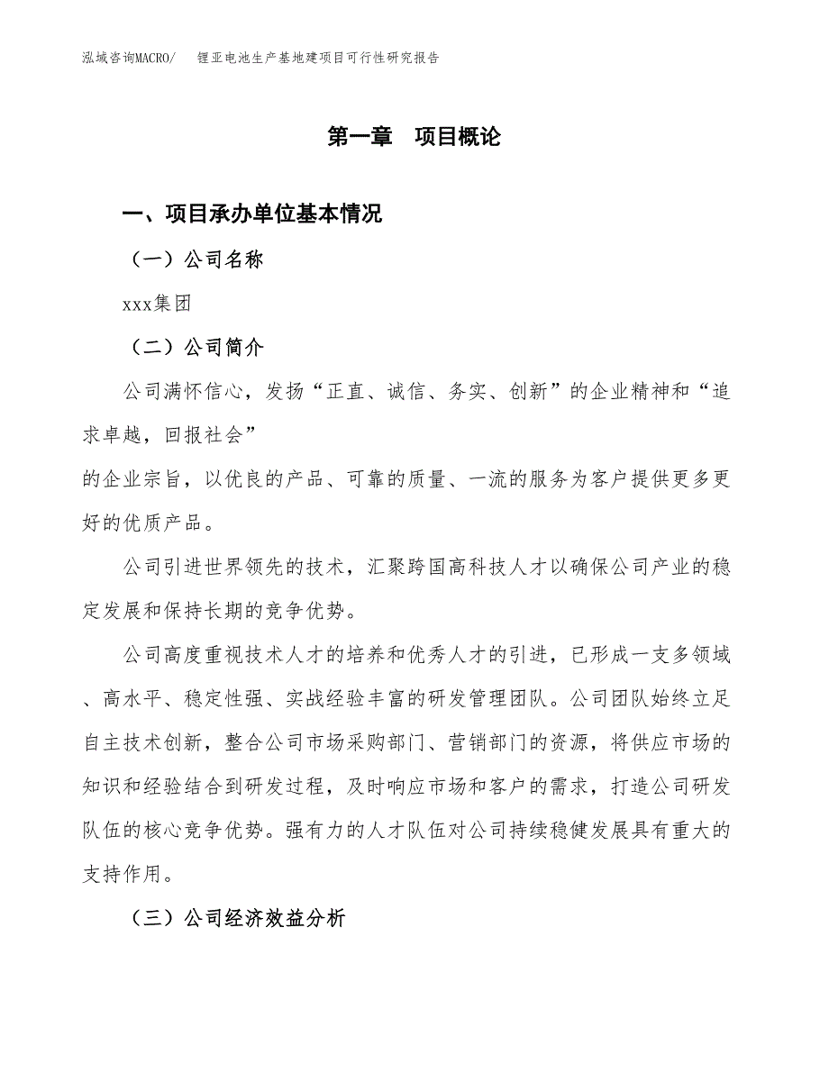 （模板）锂亚电池生产基地建项目可行性研究报告_第4页