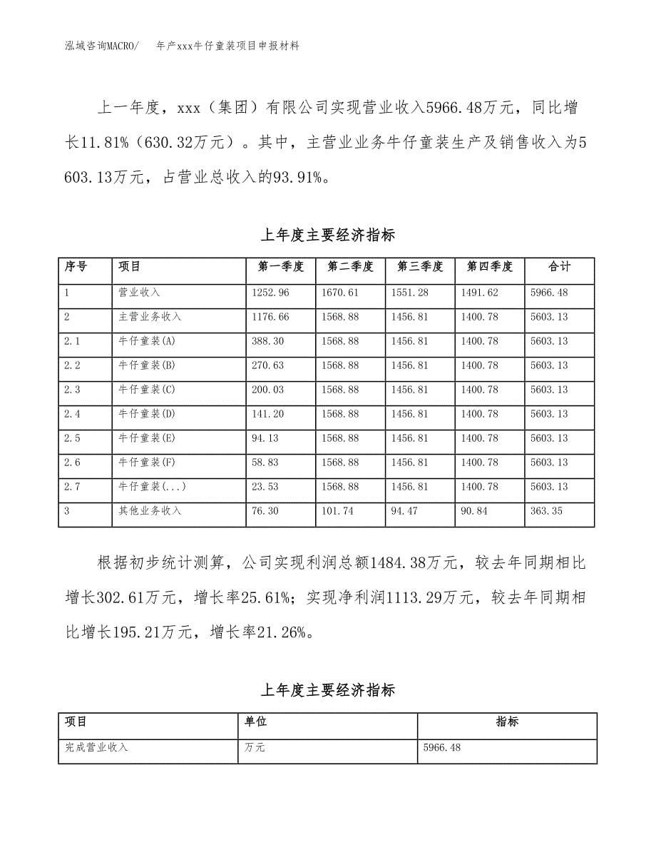 年产xxx牛仔童装项目申报材料_第5页