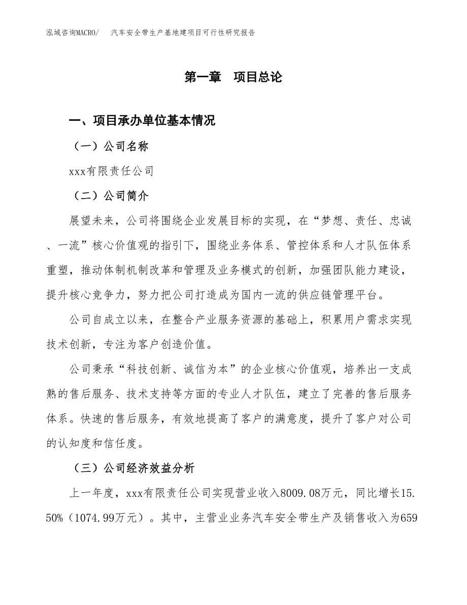 （模板）汽车安全带生产基地建项目可行性研究报告_第5页