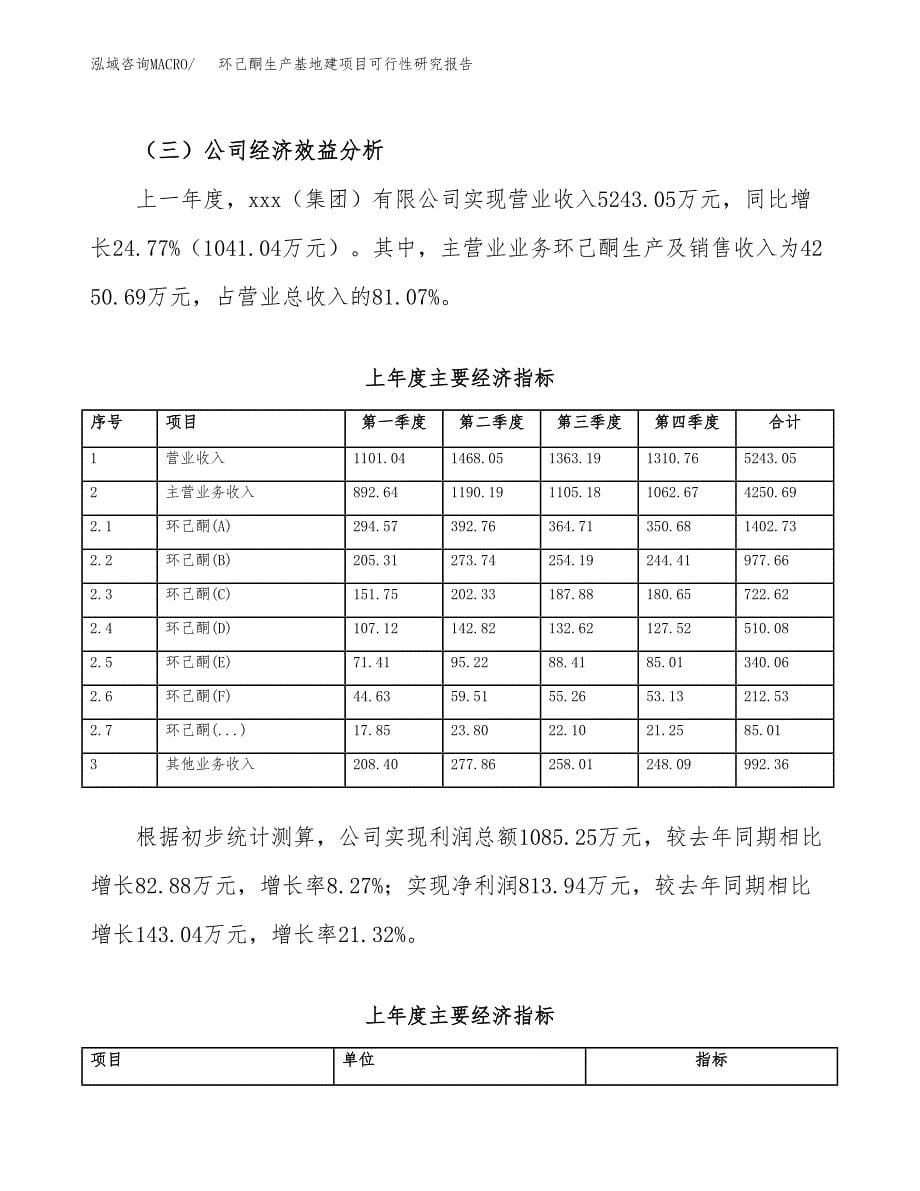 （模板）环己酮生产基地建项目可行性研究报告_第5页