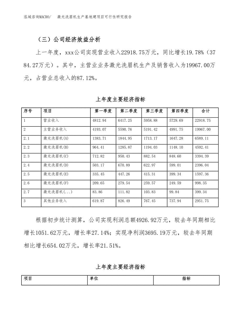 （模板）激光洗眉机生产基地建项目可行性研究报告_第5页