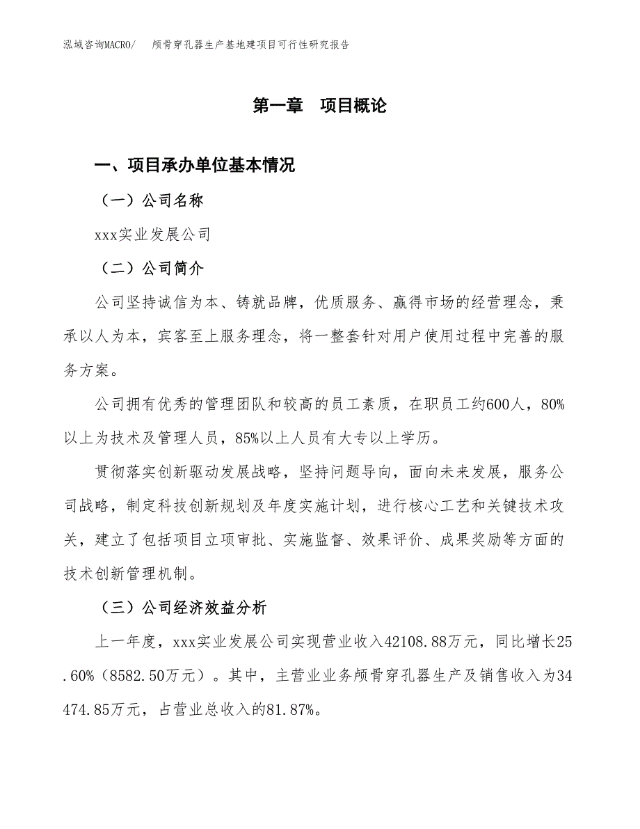 （模板）颅骨穿孔器生产基地建项目可行性研究报告_第4页