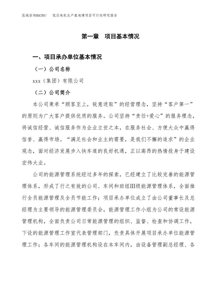 （模板）低压电机生产基地建项目可行性研究报告_第5页