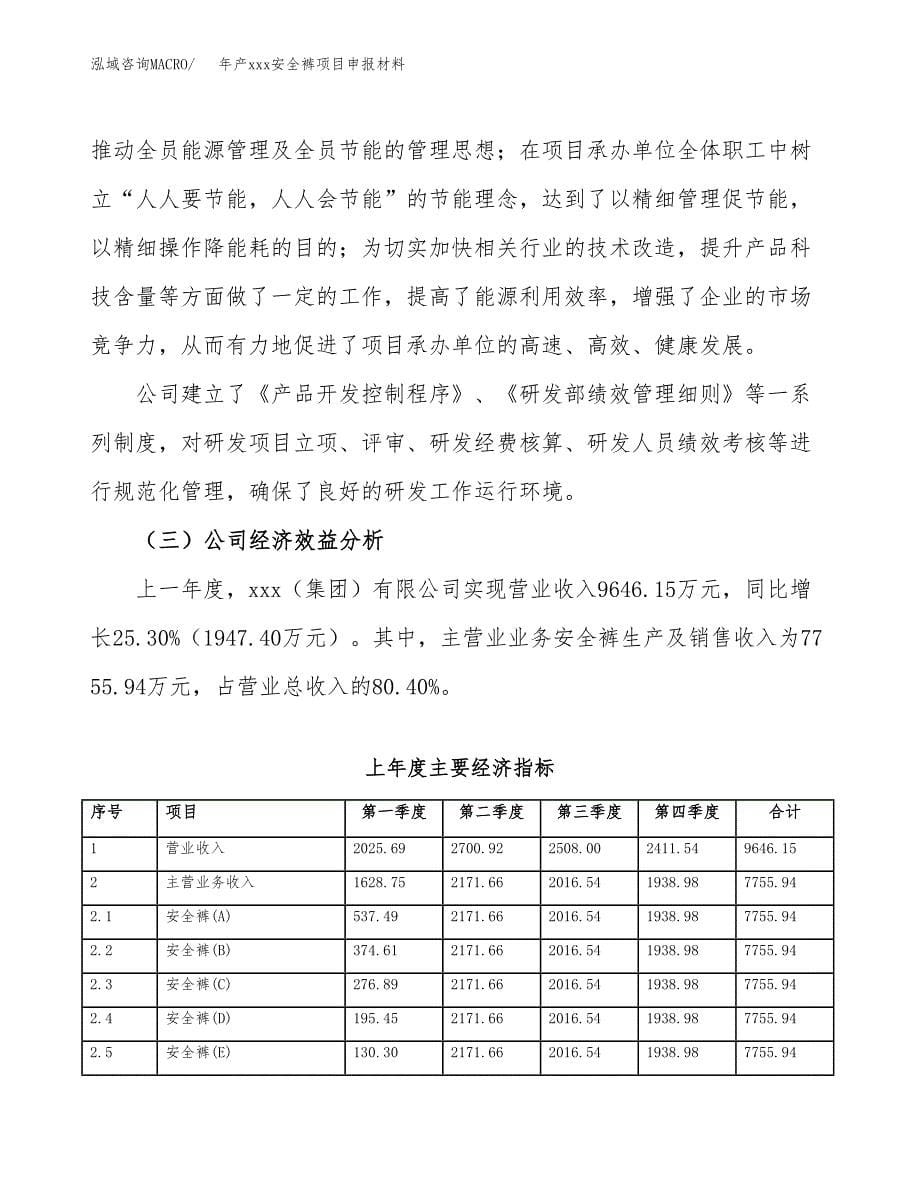 年产xxx安全裤项目申报材料_第5页