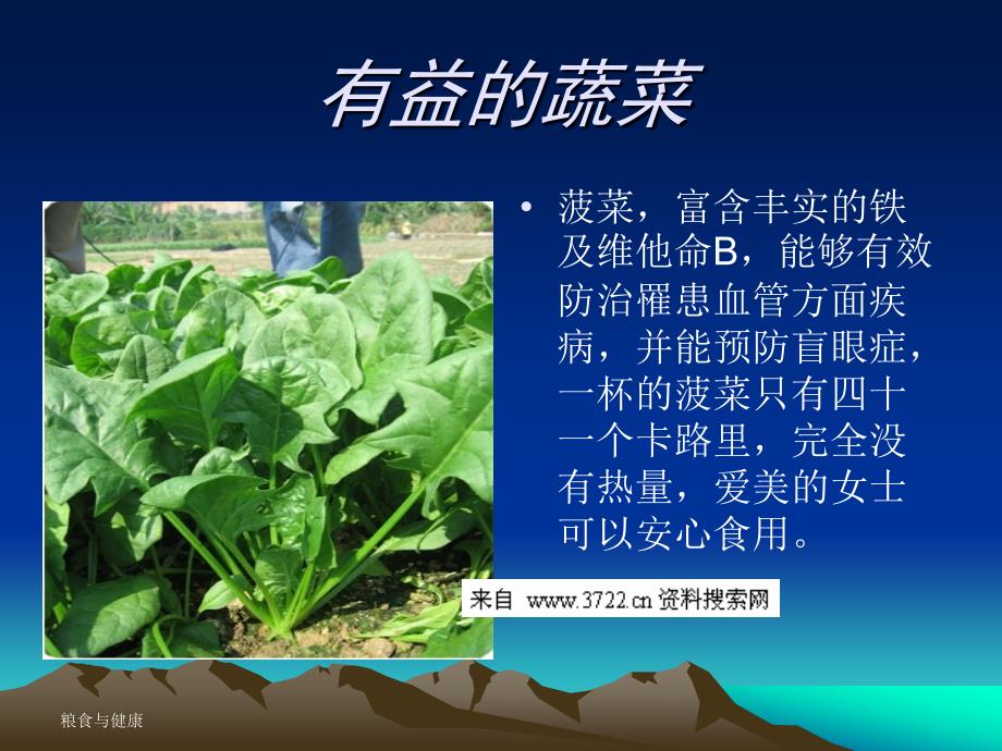 粮食与健康报(ppt 8页)_第2页