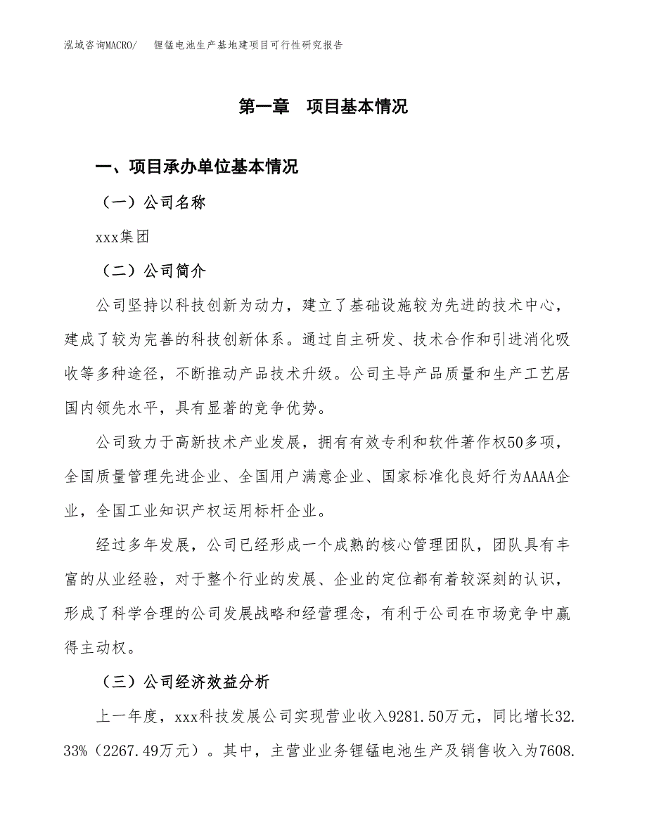 （模板）锂锰电池生产基地建项目可行性研究报告_第4页