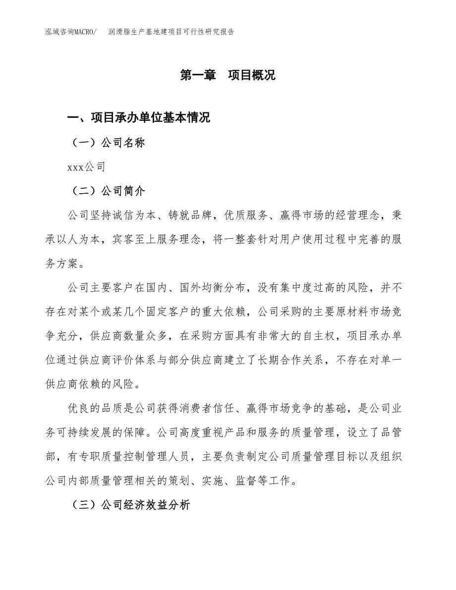 （模板）润滑脂生产基地建项目可行性研究报告 (1)_第5页