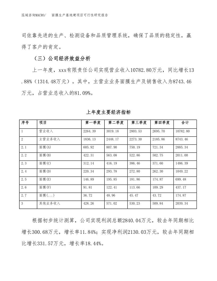 （模板）面膜生产基地建项目可行性研究报告 (1)_第5页