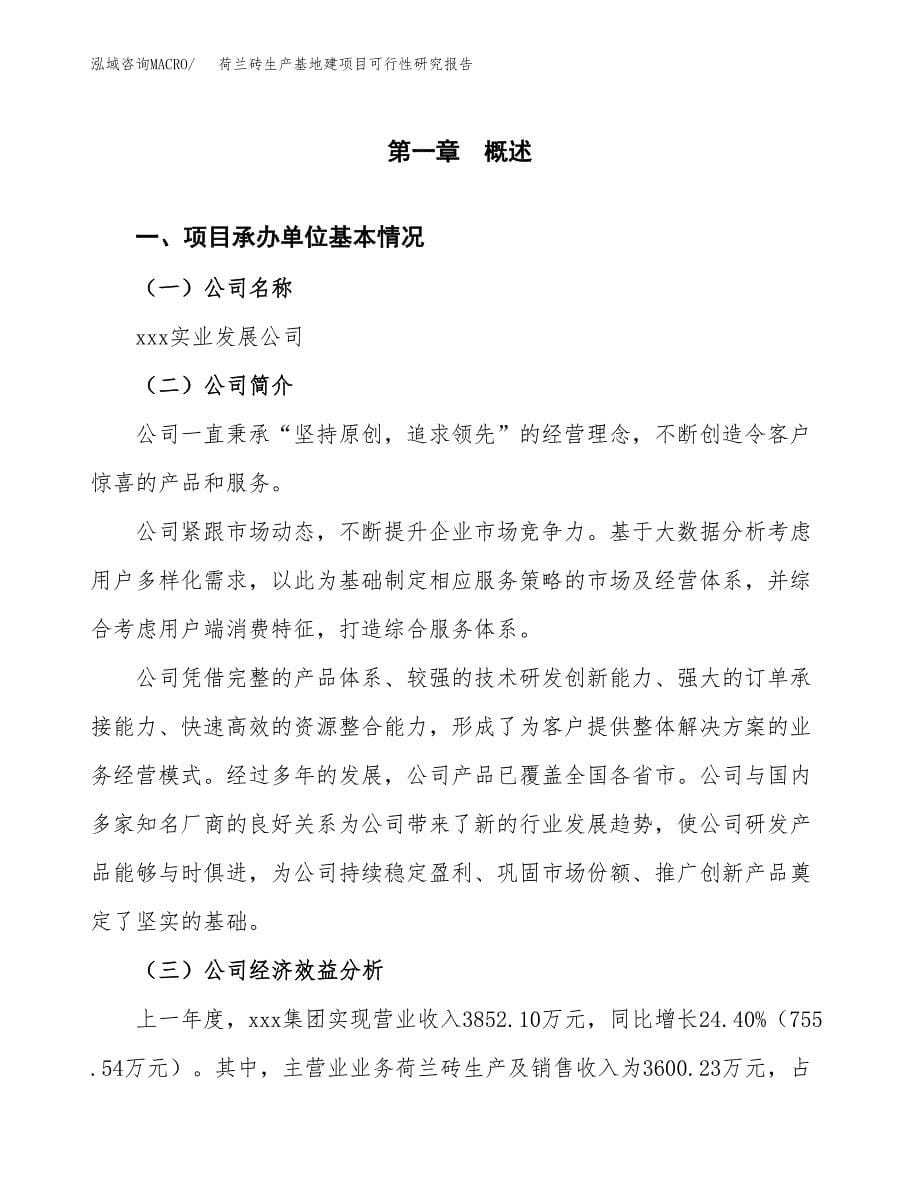 （模板）荷兰砖生产基地建项目可行性研究报告_第5页