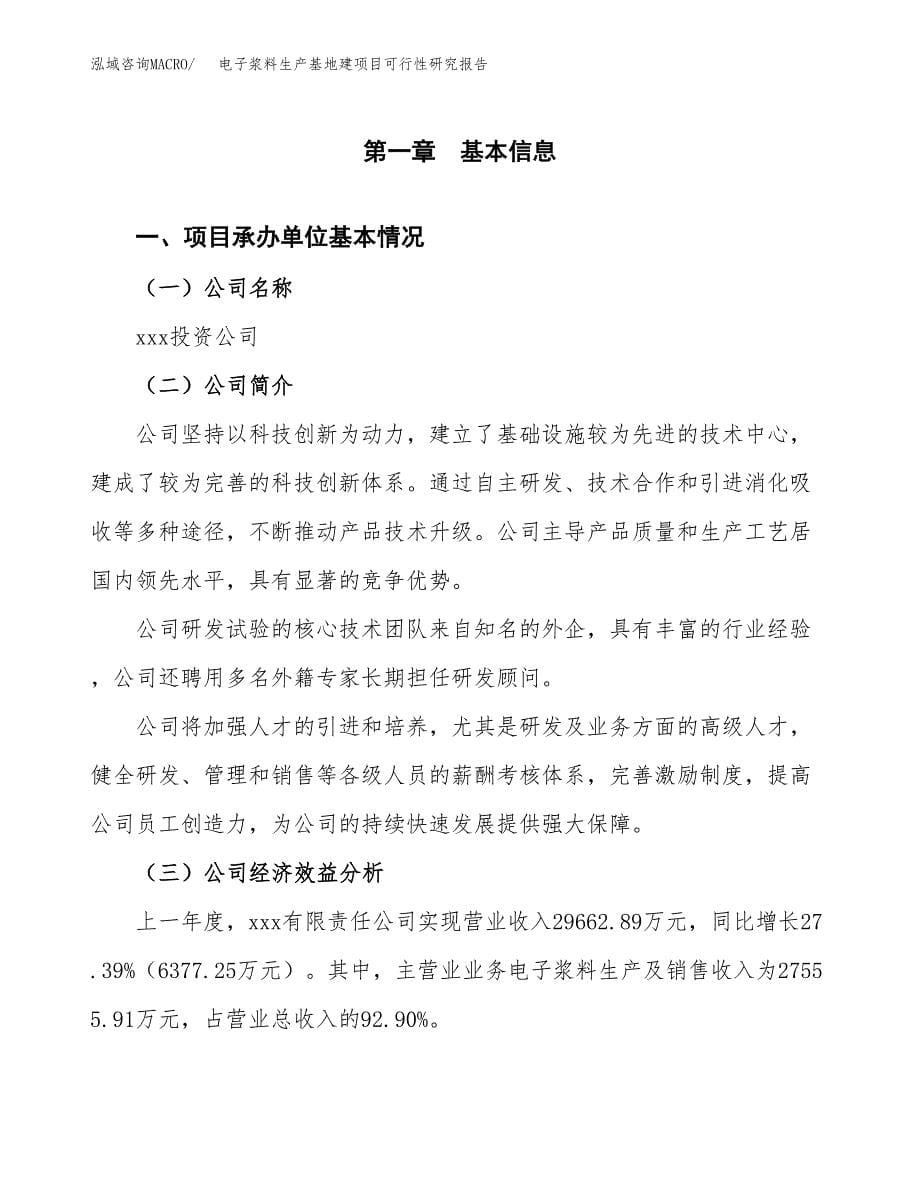 （模板）电子浆料生产基地建项目可行性研究报告_第5页