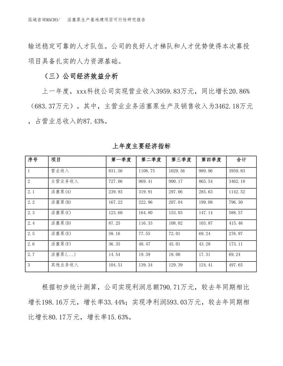 （模板）活塞泵生产基地建项目可行性研究报告_第5页