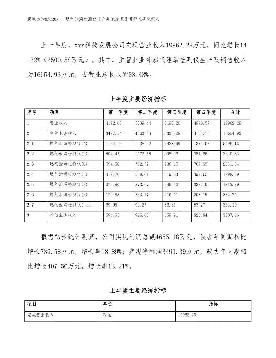 （模板）燃气泄漏检测仪生产基地建项目可行性研究报告_第5页