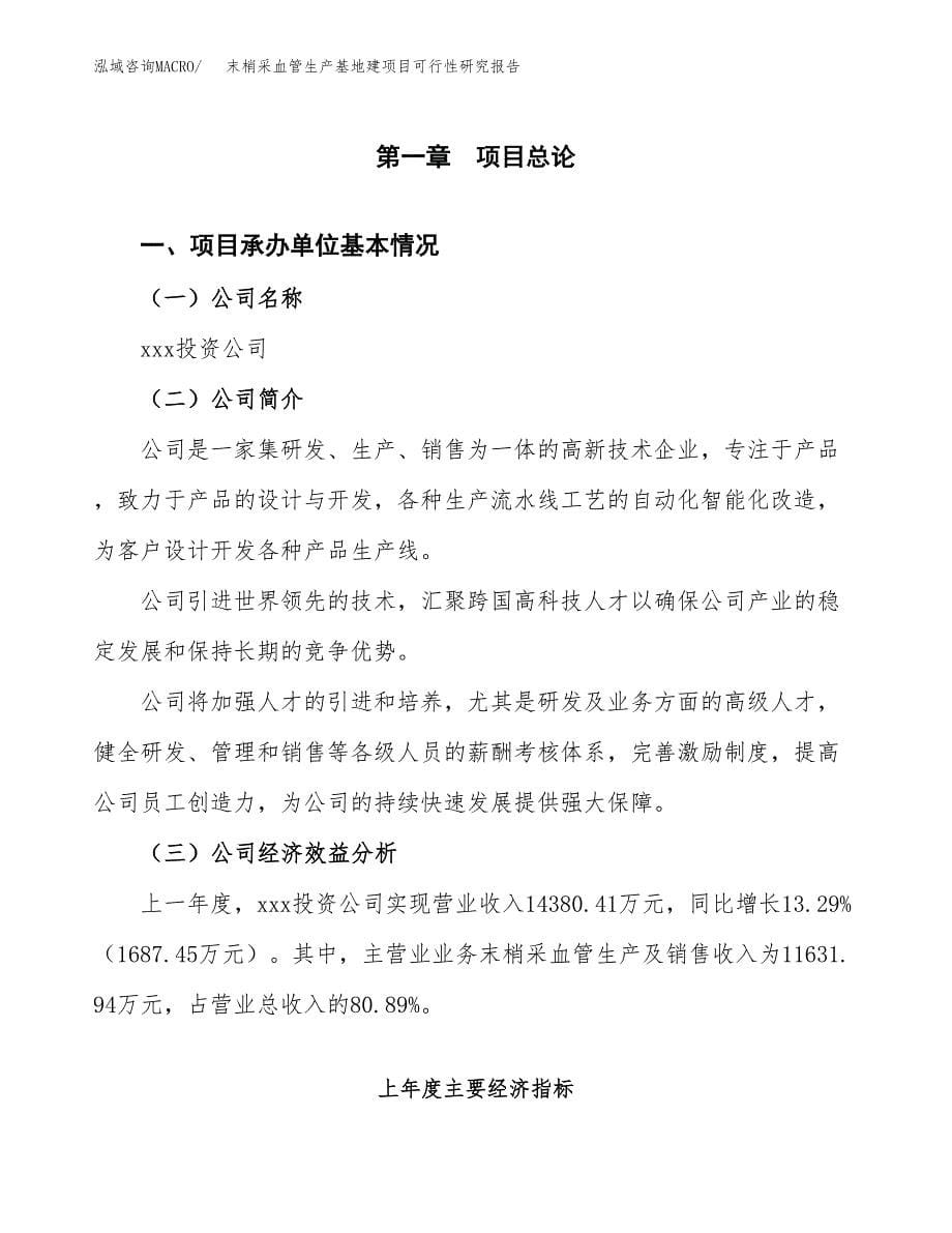 （模板）末梢采血管生产基地建项目可行性研究报告_第5页