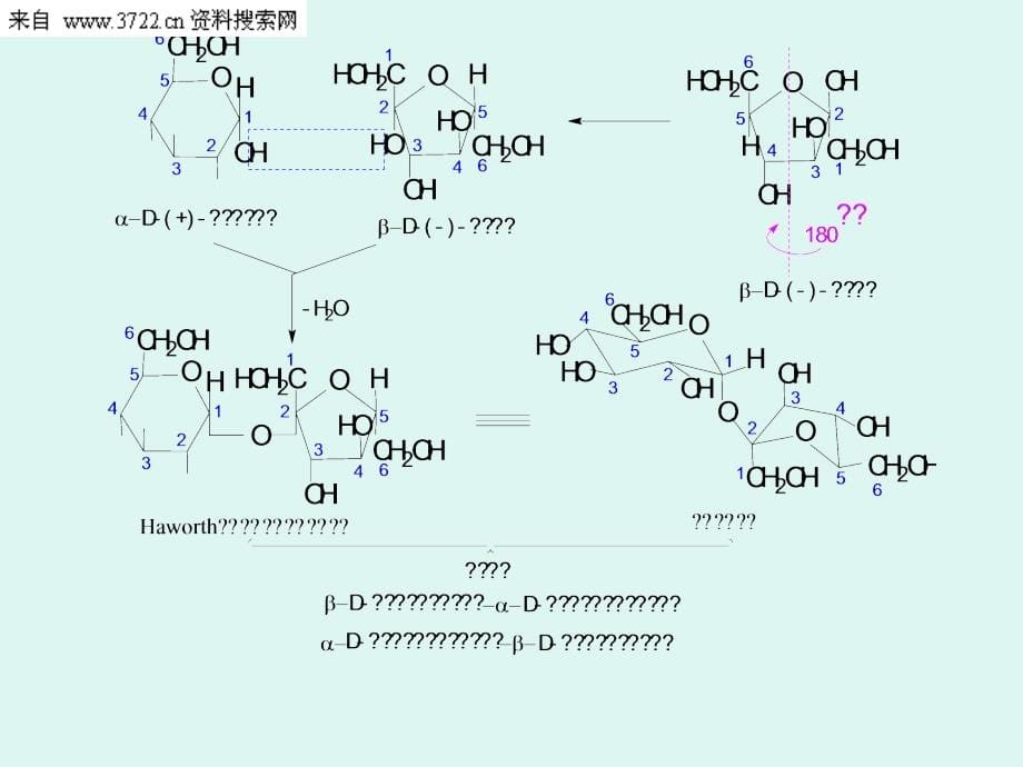 生活休闲资料-运动营养学（ppt 64页）_第5页