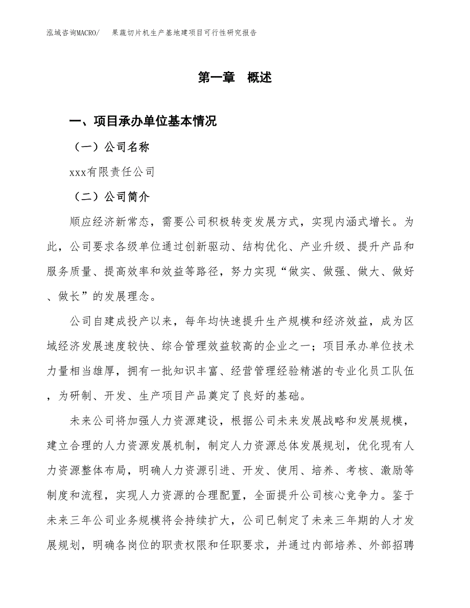 （模板）果蔬切片机生产基地建项目可行性研究报告 (1)_第4页