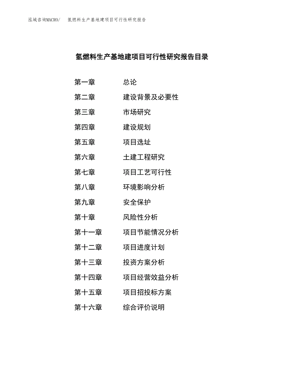 （模板）氢燃料生产基地建项目可行性研究报告_第3页