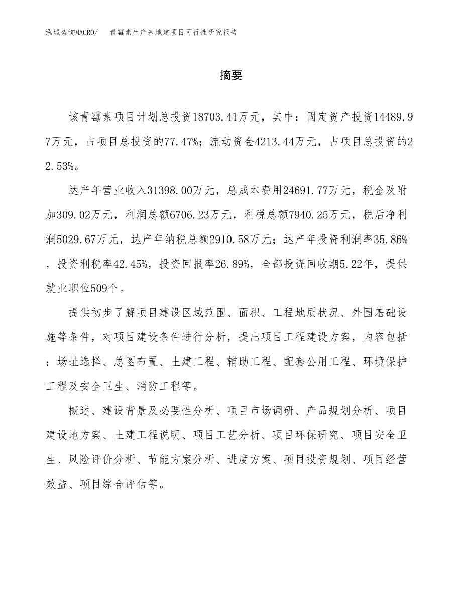 （模板）青霉素生产基地建项目可行性研究报告_第2页