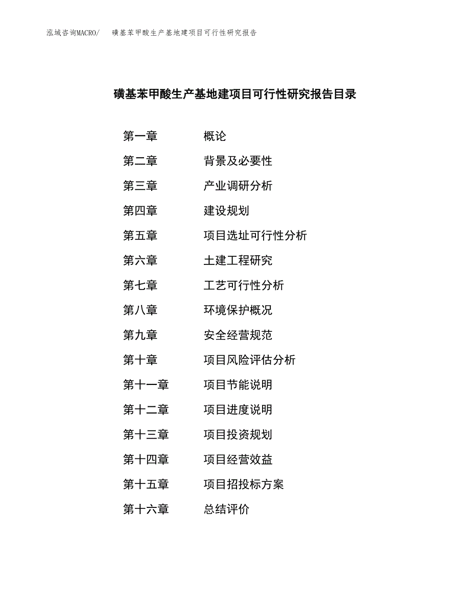 （模板）磺基苯甲酸生产基地建项目可行性研究报告_第3页