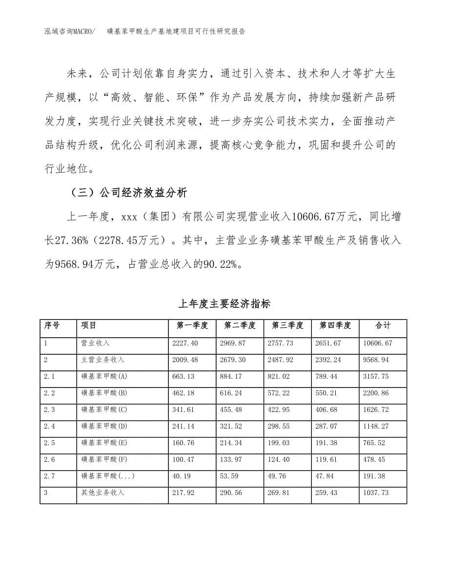 （模板）磺基苯甲酸生产基地建项目可行性研究报告_第5页