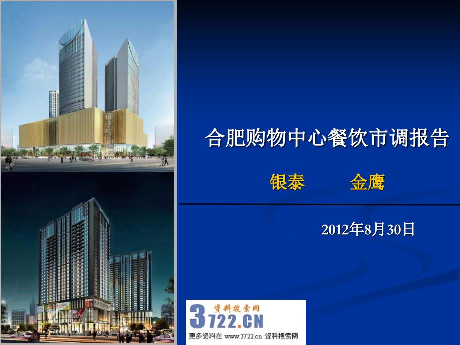 2012年合肥购物中心餐饮市场调查分析报告（ppt 44页）_第1页