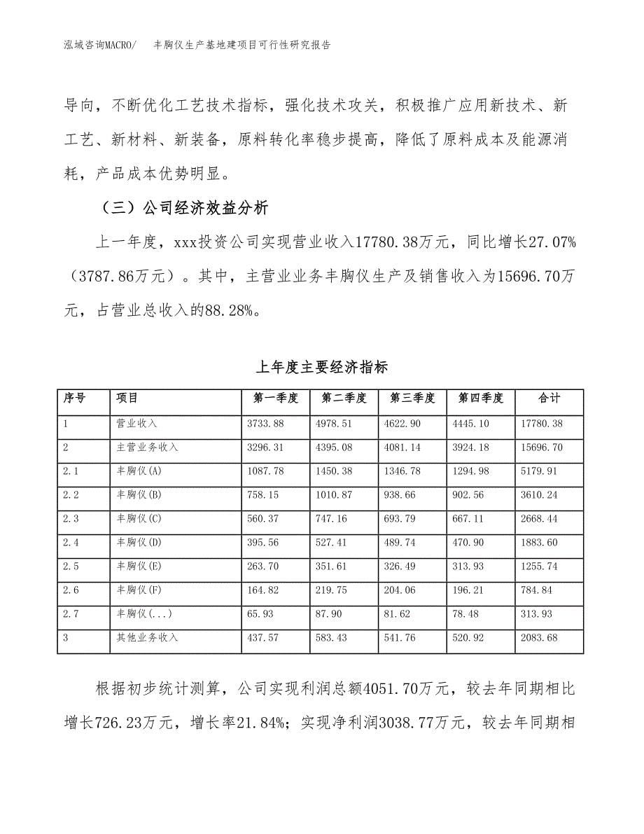 （模板）丰胸仪生产基地建项目可行性研究报告 (1)_第5页