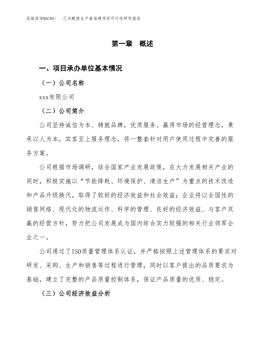 （模板）己内酰胺生产基地建项目可行性研究报告_第4页