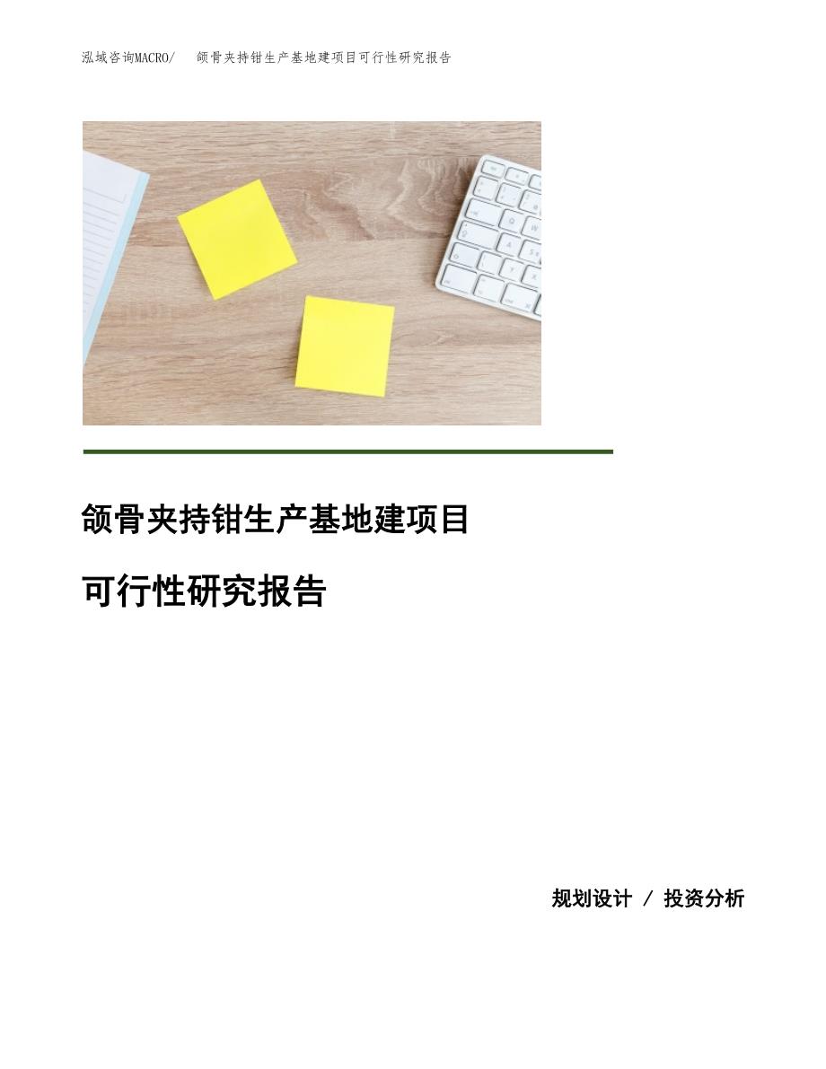 （模板）颌骨夹持钳生产基地建项目可行性研究报告_第1页