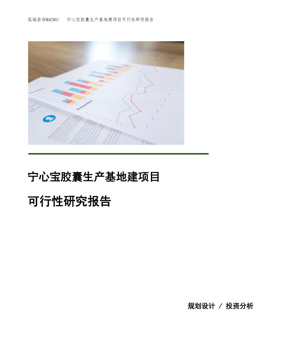 （模板）宁心宝胶囊生产基地建项目可行性研究报告_第1页